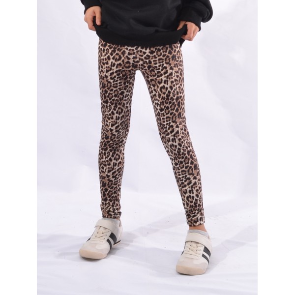 FW26 Παιδικό Κολάν  Classic Leopard 